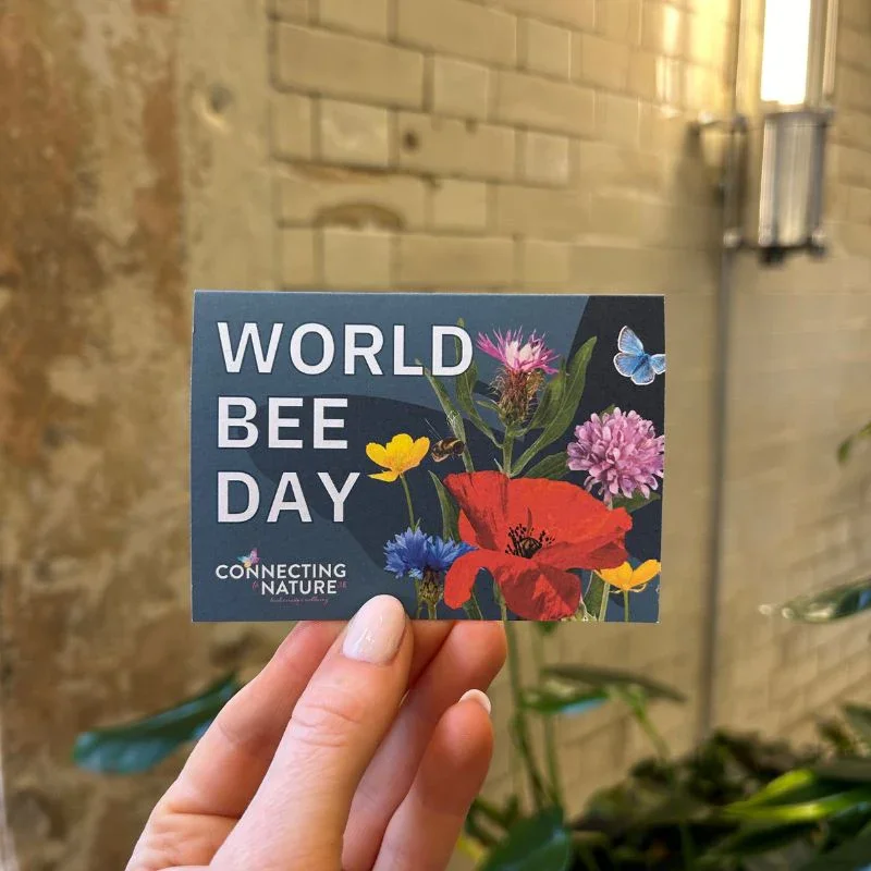 Promotional Eco-Wildflower Seed Packs