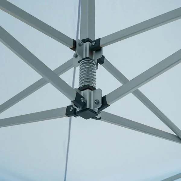 image281829.webp